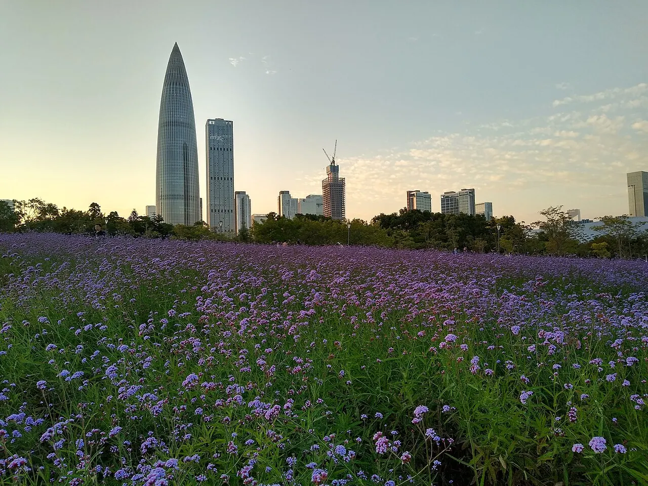 Supporting image 2 for Shenzhen: shenzhen, bay-park, waterfront in China