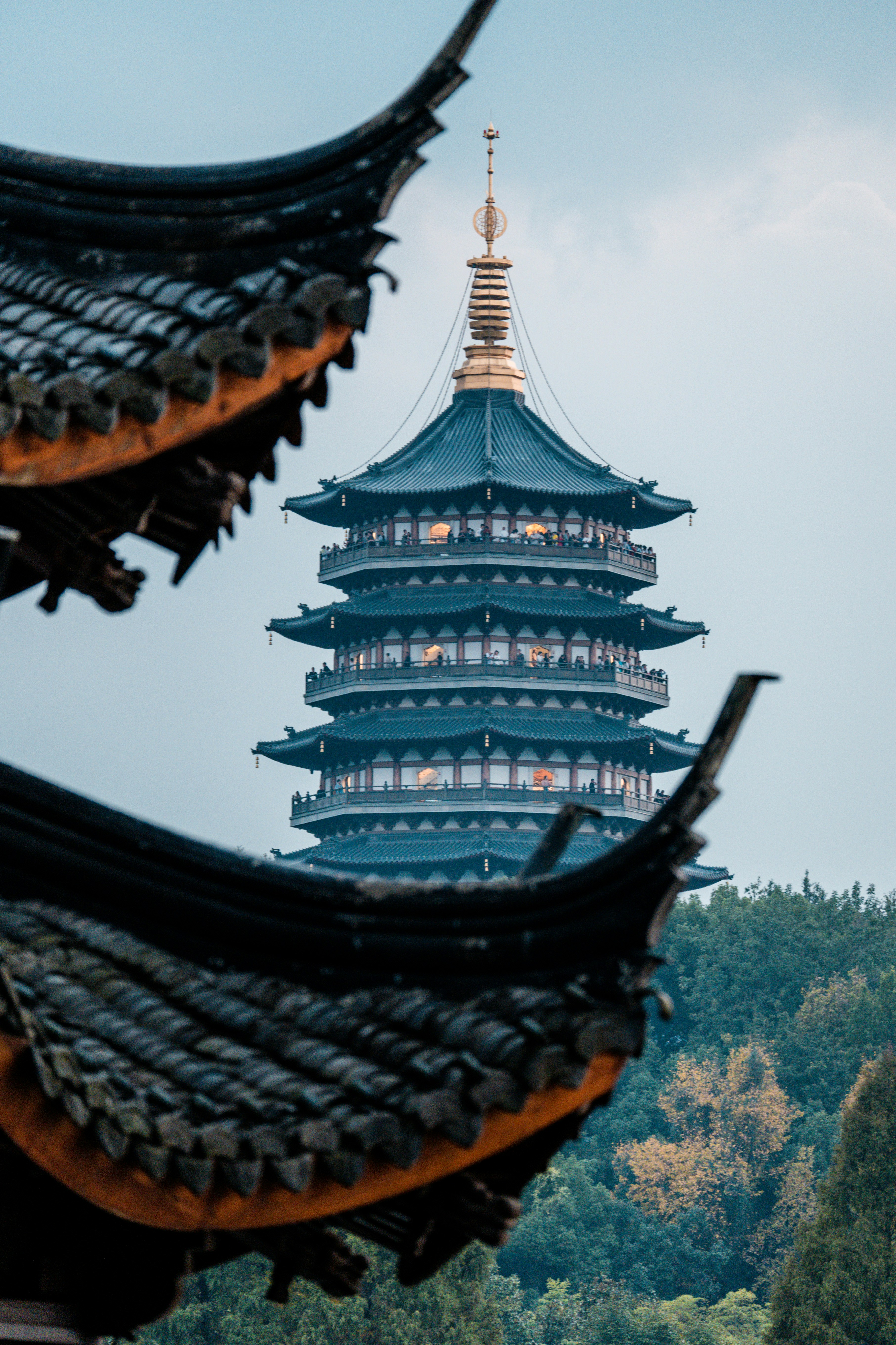 A calm Hangzhou setting with garden atmosphere